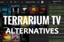 Terrarium TV Alternatives